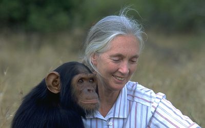 Jane Goodall on Ageing: Living a Full Life